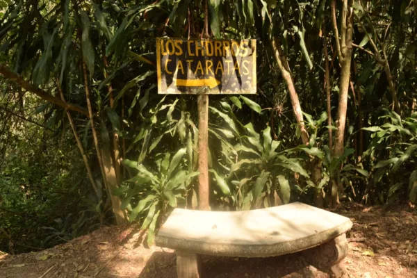 Top Things To Do In Costa Rica San Jose | How To Spend A Weekend In Costa Rica | Travel Beauty Blog