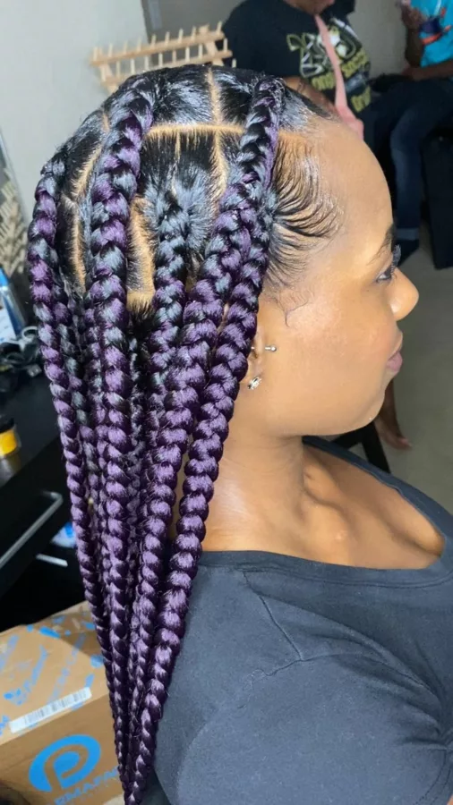 Box Braids Hairstyles for Black Women To Try - Travel Beauty Blog