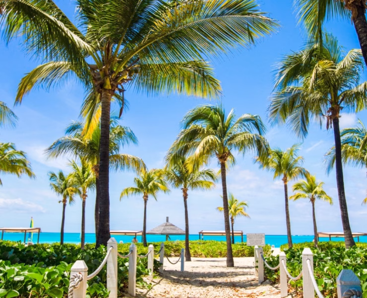 Best Caribbean Islands to Visit for Summer | Travel Beauty Blog
