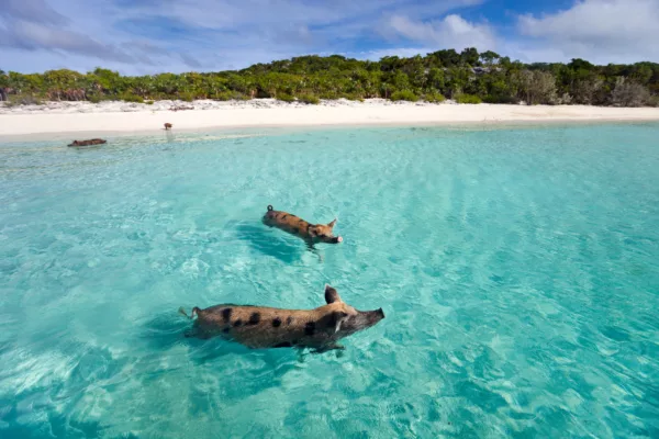 12 Best Caribbean Islands to Visit for Summer Best Caribbean Islands to Visit for Summer | Travel Beauty Blog